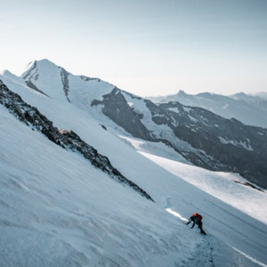 小马拉大车视频3D
