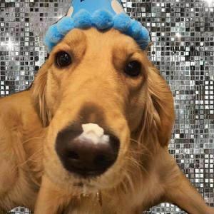 小马拉大车视频3D
