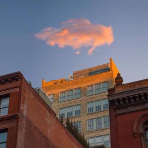 小马拉大车视频3D
